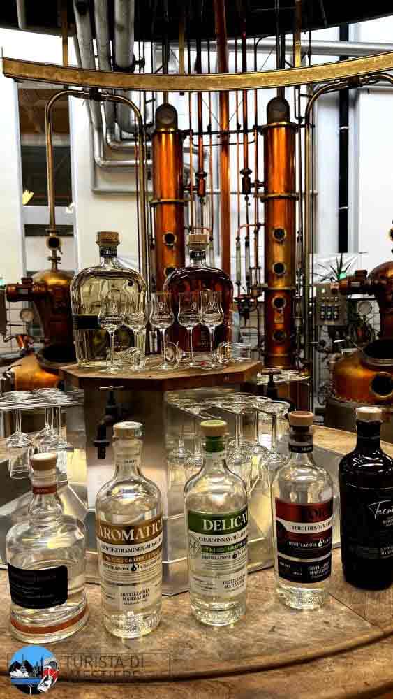 Degustazione-distilleria-marzadro-alambicchi