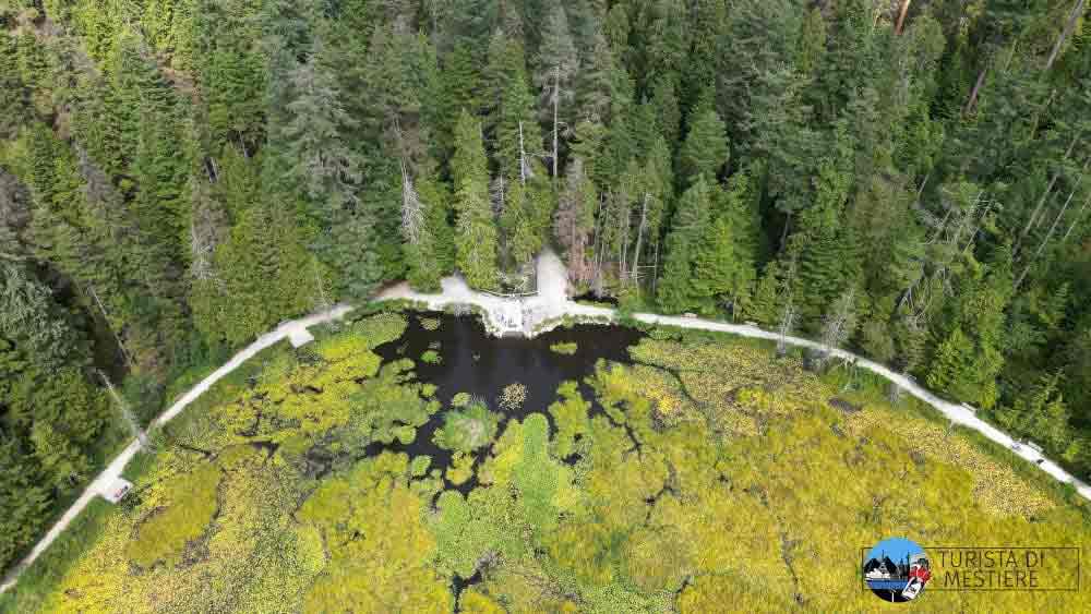 Beaver Lake Stanley park Canada