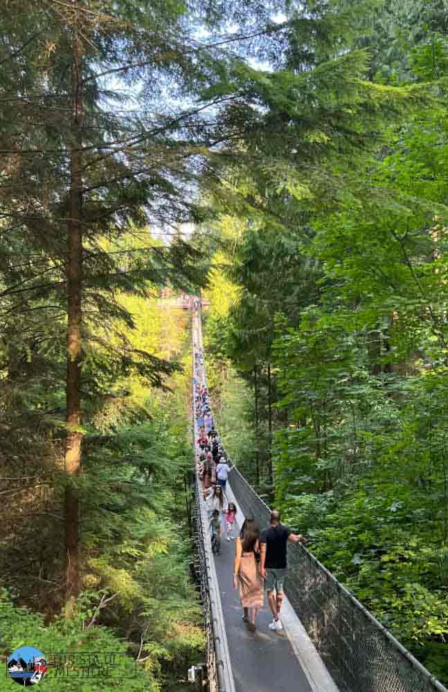 Capilano-bridge-vancouver