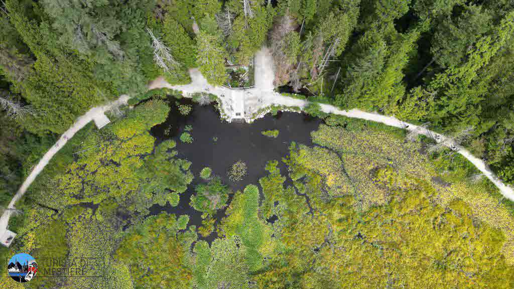 stanley-park-beaver-lake stanley-park-beaver-lake