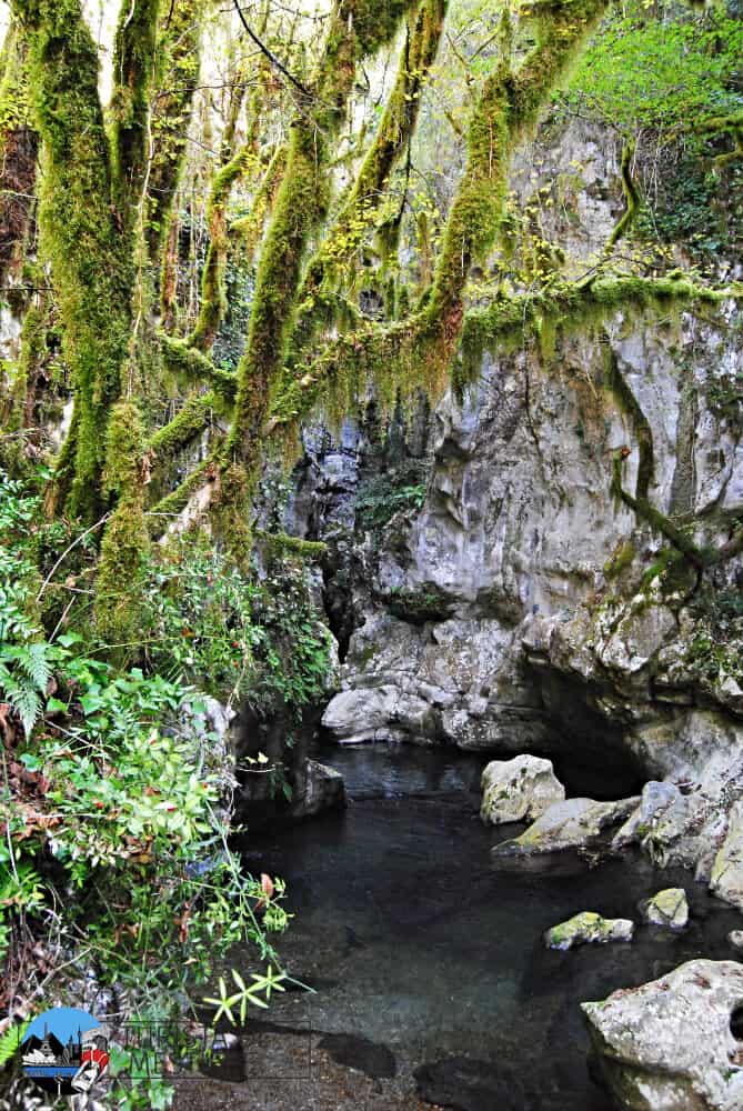 grotte-del-bussento-barba