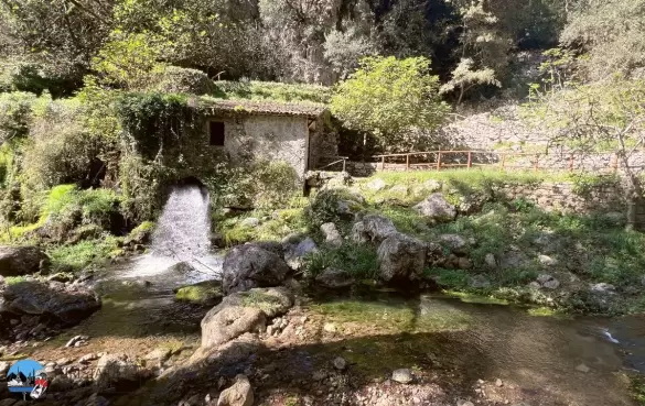 oasi-wwf-morigerati-cilento