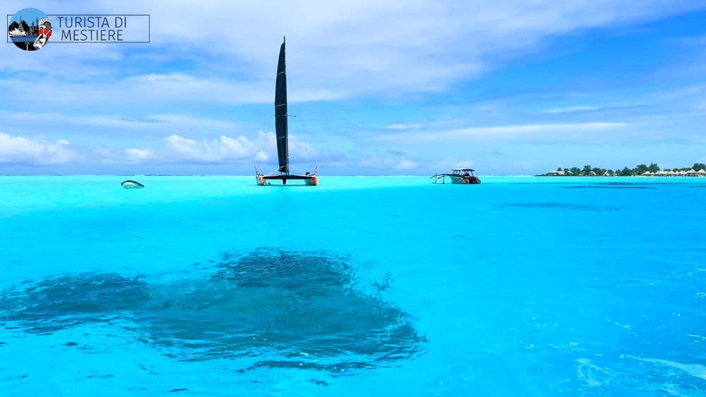 Bora Bora Lagoonarium