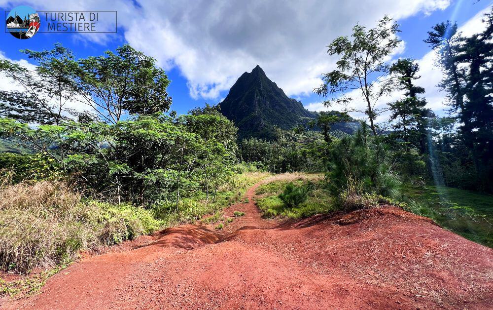 Monte Rotui Moorea