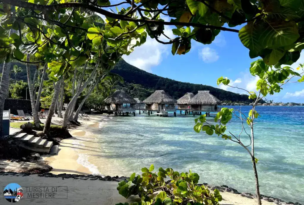 mai tai bora bora