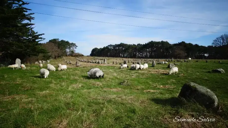 carnac-kerlescan