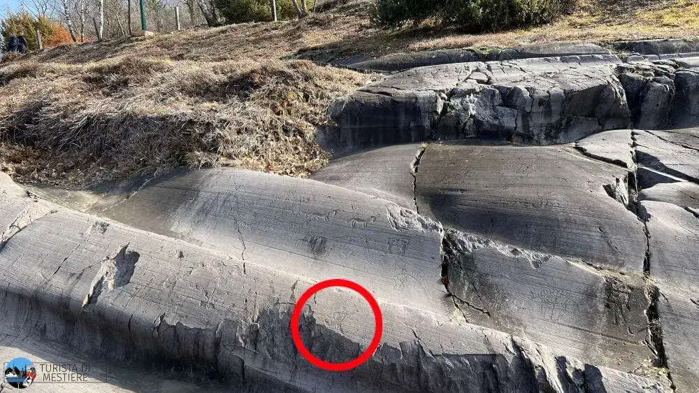 parco iscrizioni rupestri naquane roccia 35