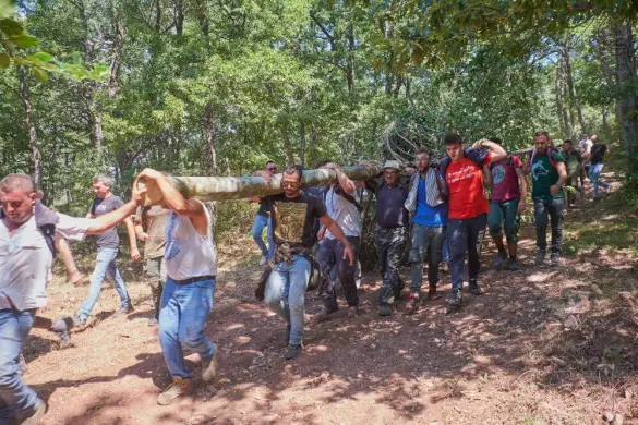 Maggio-Olivetese-Basilicata