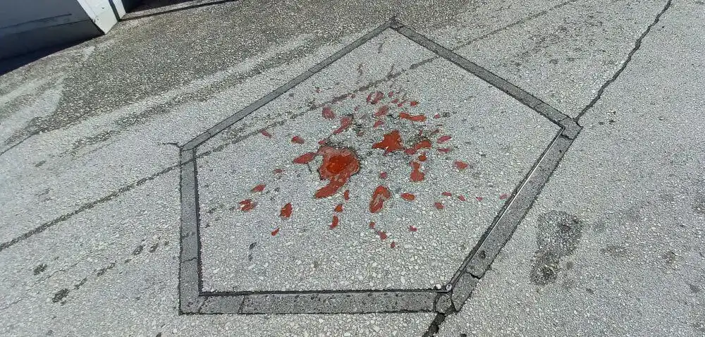 rose-di-sarajevo