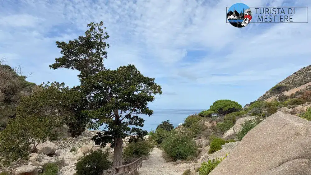 trekking-Cala-Maestra-Montecristo