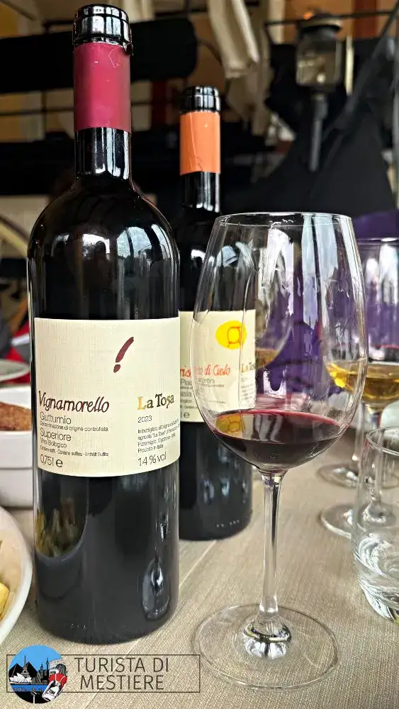 Vignamorello Gutturnio Superiore La Tosa Un calice di Vignamorello il Gutturnio superiore di La Tosa