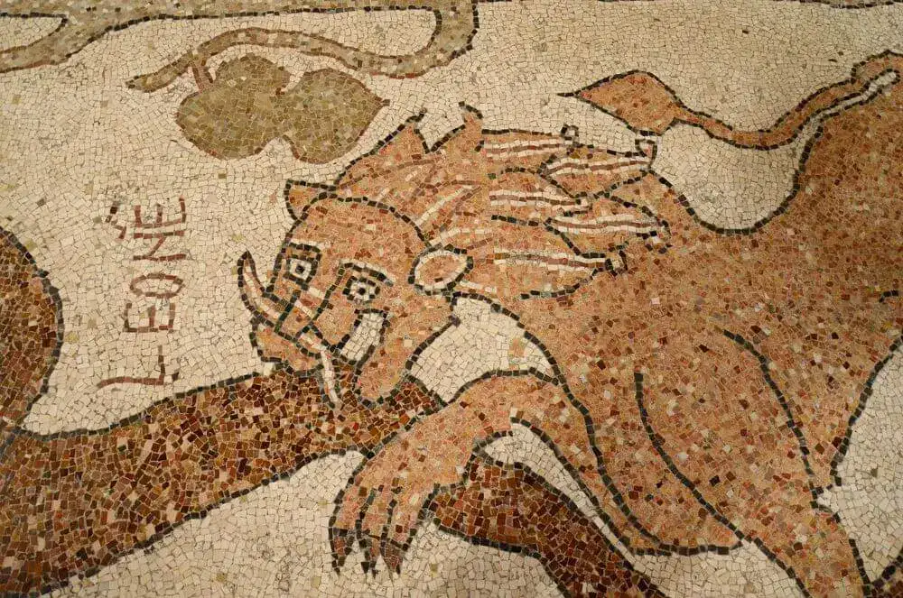 Mosaico cattedrale Otranto