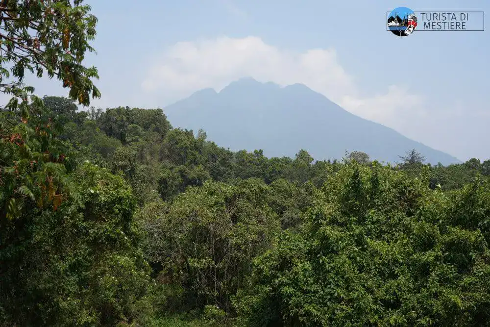 Uganda Mgahinga Park Vulcano
